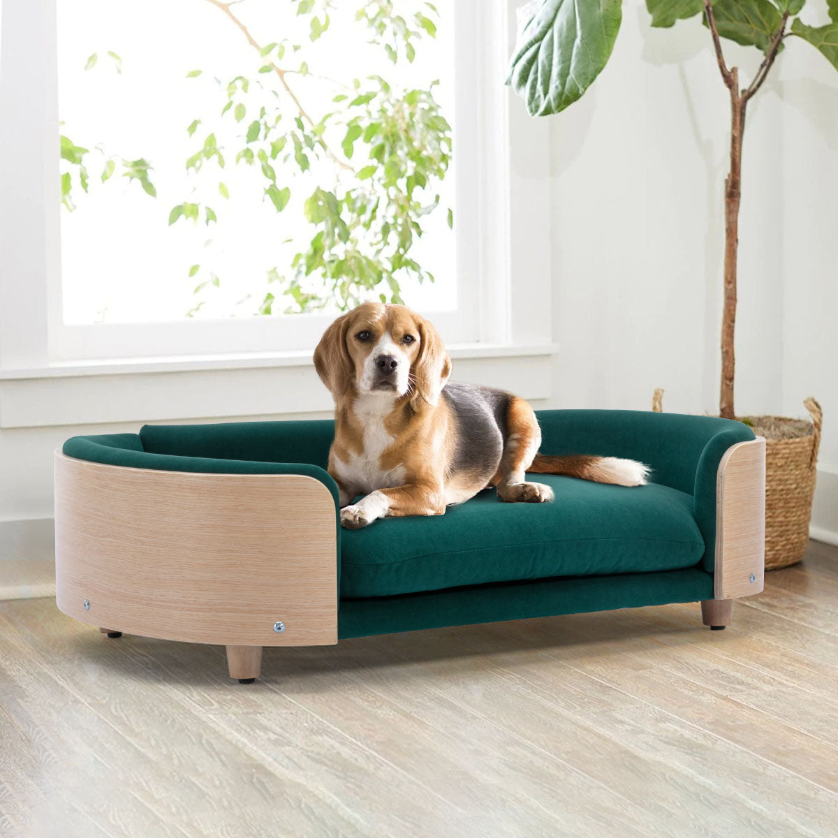 Bulldog Large Size Dog Beds