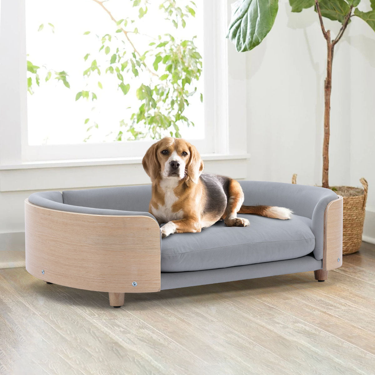 Bulldog Large Size Dog Beds