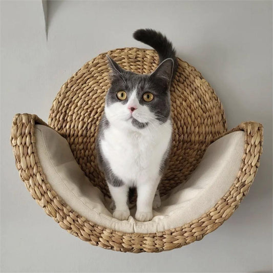 Bella Rattan Cat House