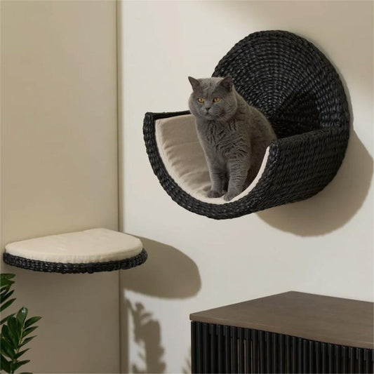 Daisy Black Rattan Cat House