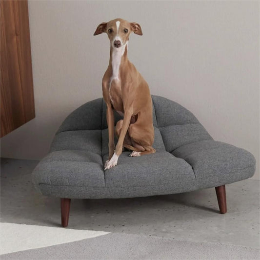 Zoe Dog Sofa Beds