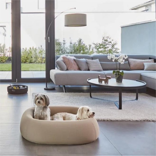 Bailey Dog Sofa Beds