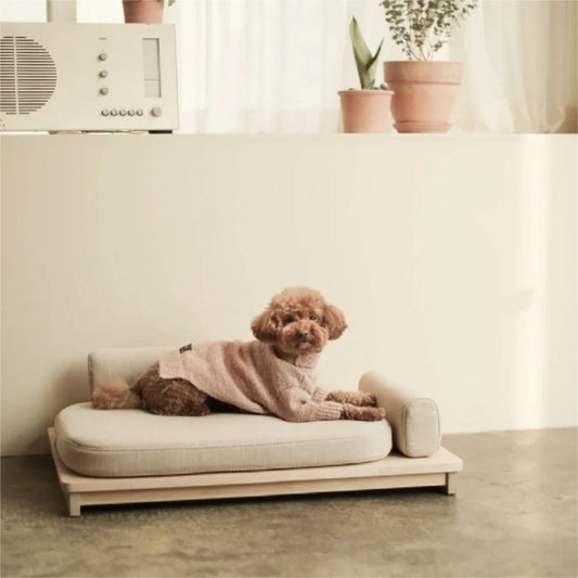 Molly Dog Sofa Beds