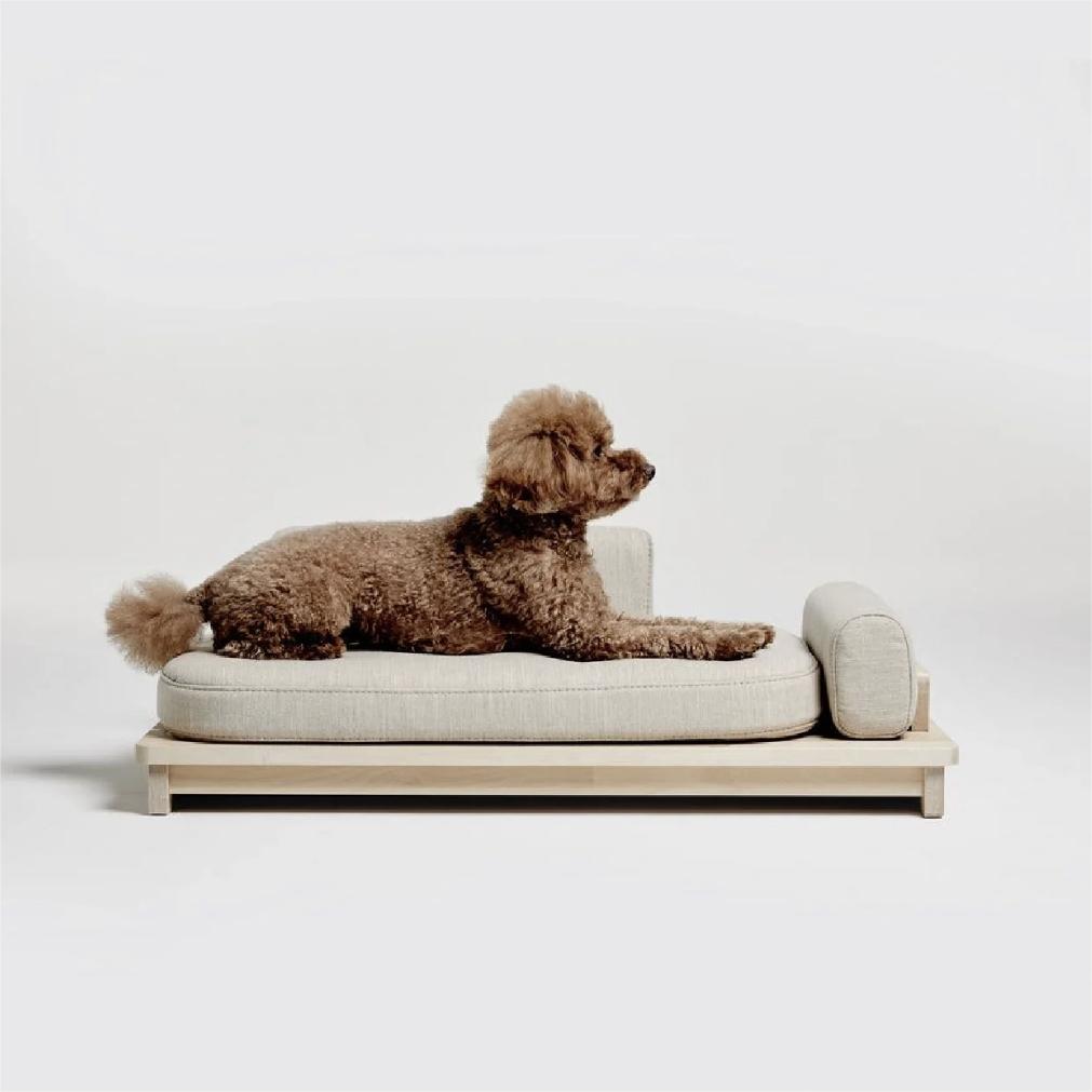 Molly Dog Sofa Beds