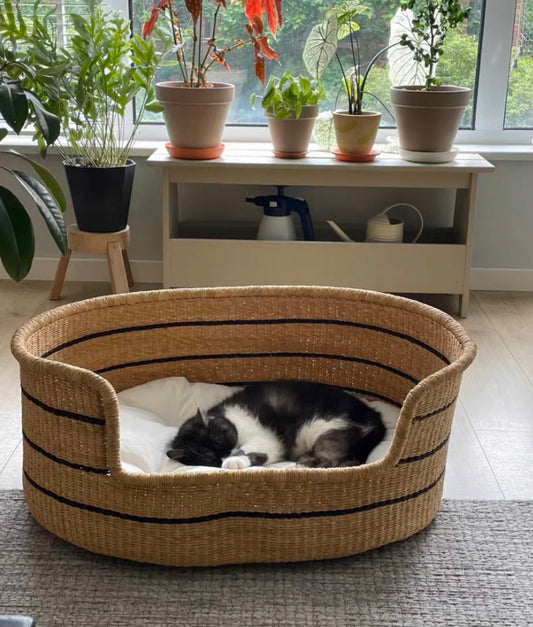 Oliver Rattan Cat House