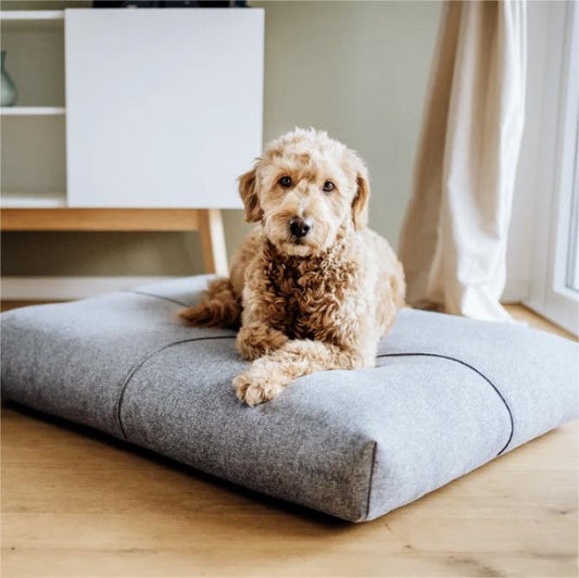 Nala Dog Beds