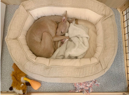 Kiki Dog Beds
